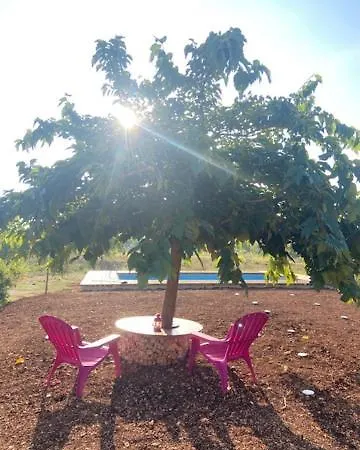 Nidadi Trulli D'itria Мартина-Франка