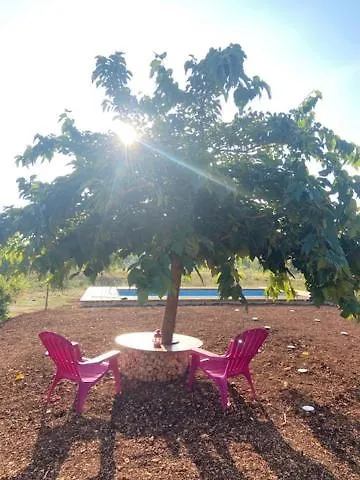 Nidadi Trulli D'itria Martina Franca